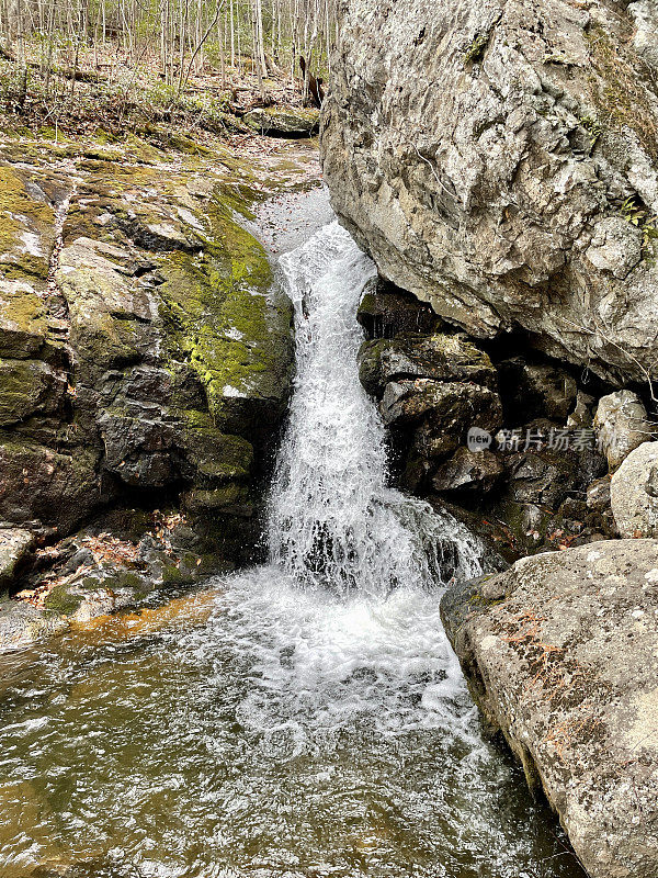 Buck Hollow Trail - Shenandoah国家公园